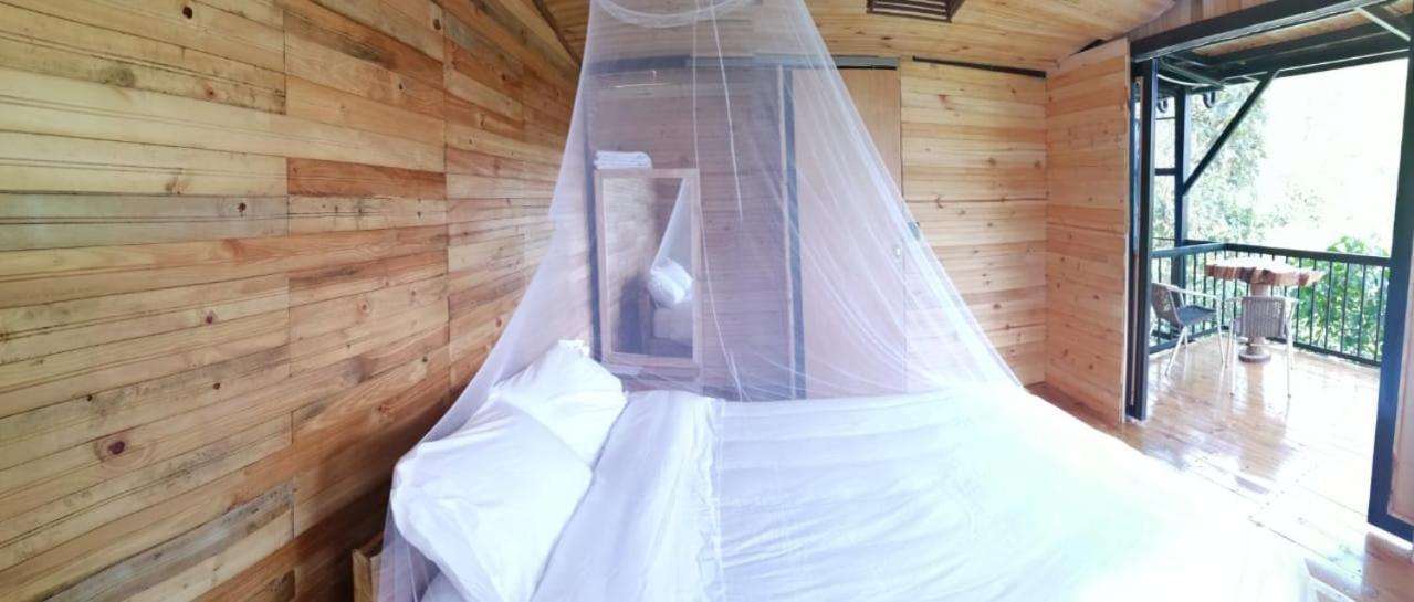 Del Rio Glamping